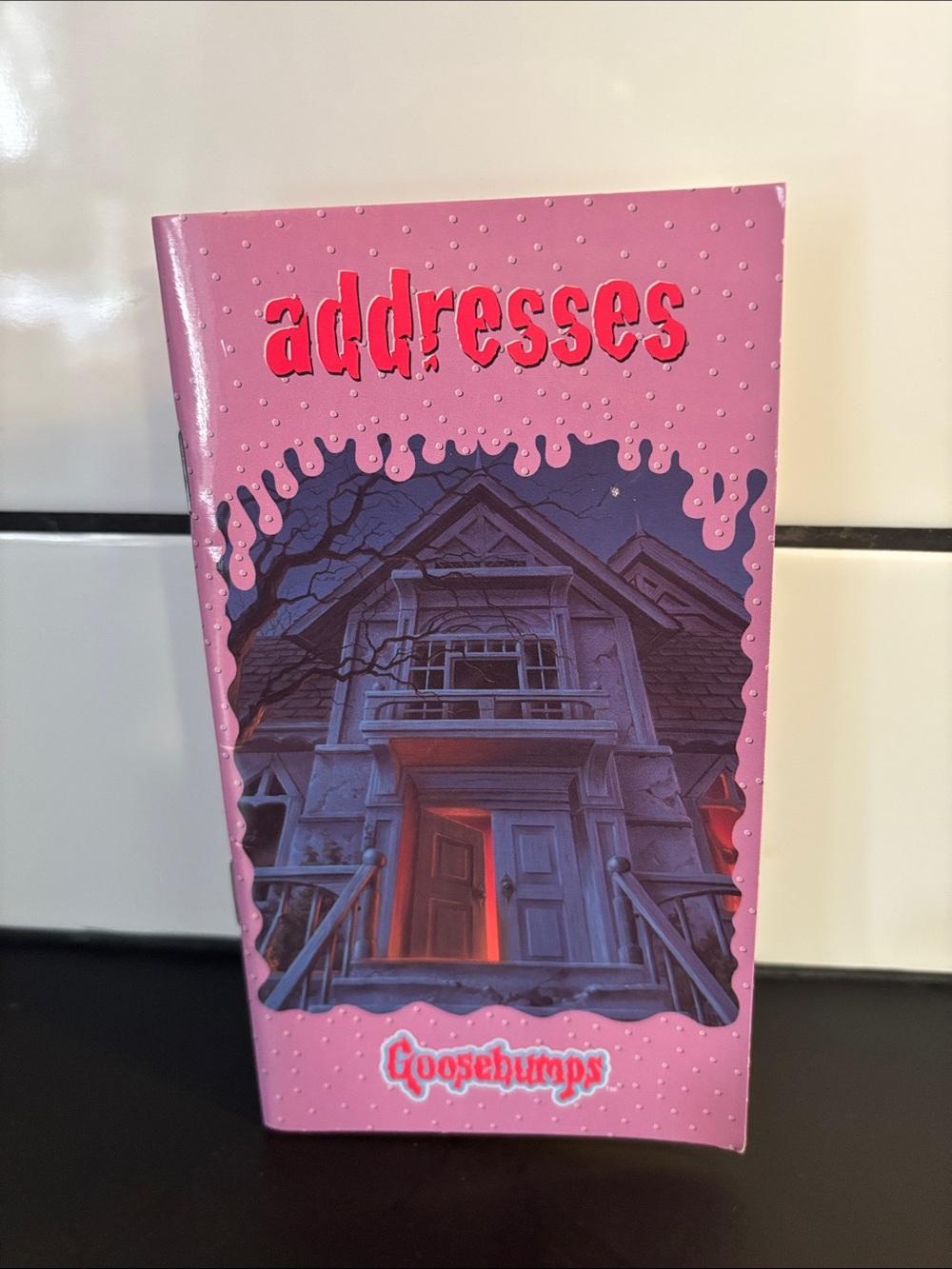 Vintage 90’s Goosebumps Address Book RARE MINT CONDITION